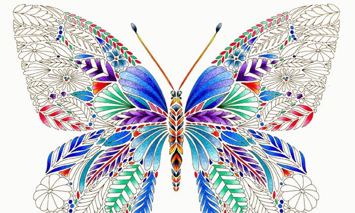 Download Millie Marotta's Tropical Wonderland: colouring in for grown-ups | Life and style | The Guardian
