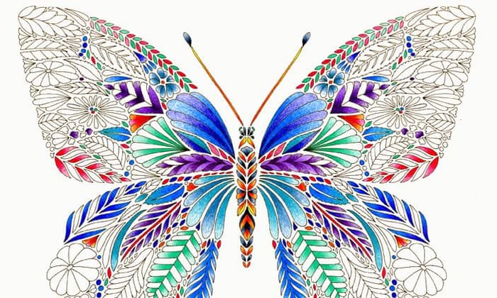 Featured image of post Millie Marotta Butterfly I spend my days creating nature based to be in with a chance of winning this bundle of goodies f rom millie marotta which includes a signed copy of