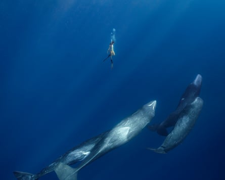 Khaichuin-Sim-Dancing-With-Giants