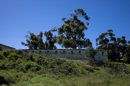 Low-rise concrete building set among green shrubs and gum trees
