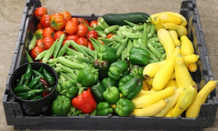 A crate full of vegetables such as tomatoes, green peppers and green chillies