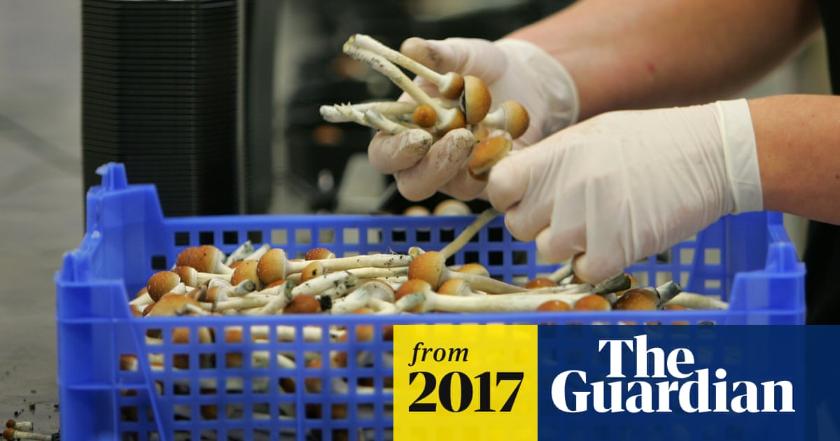 Magic Mushrooms Reboot Brain In Depressed People Study