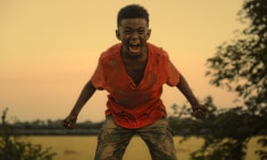 Image result for The last tree