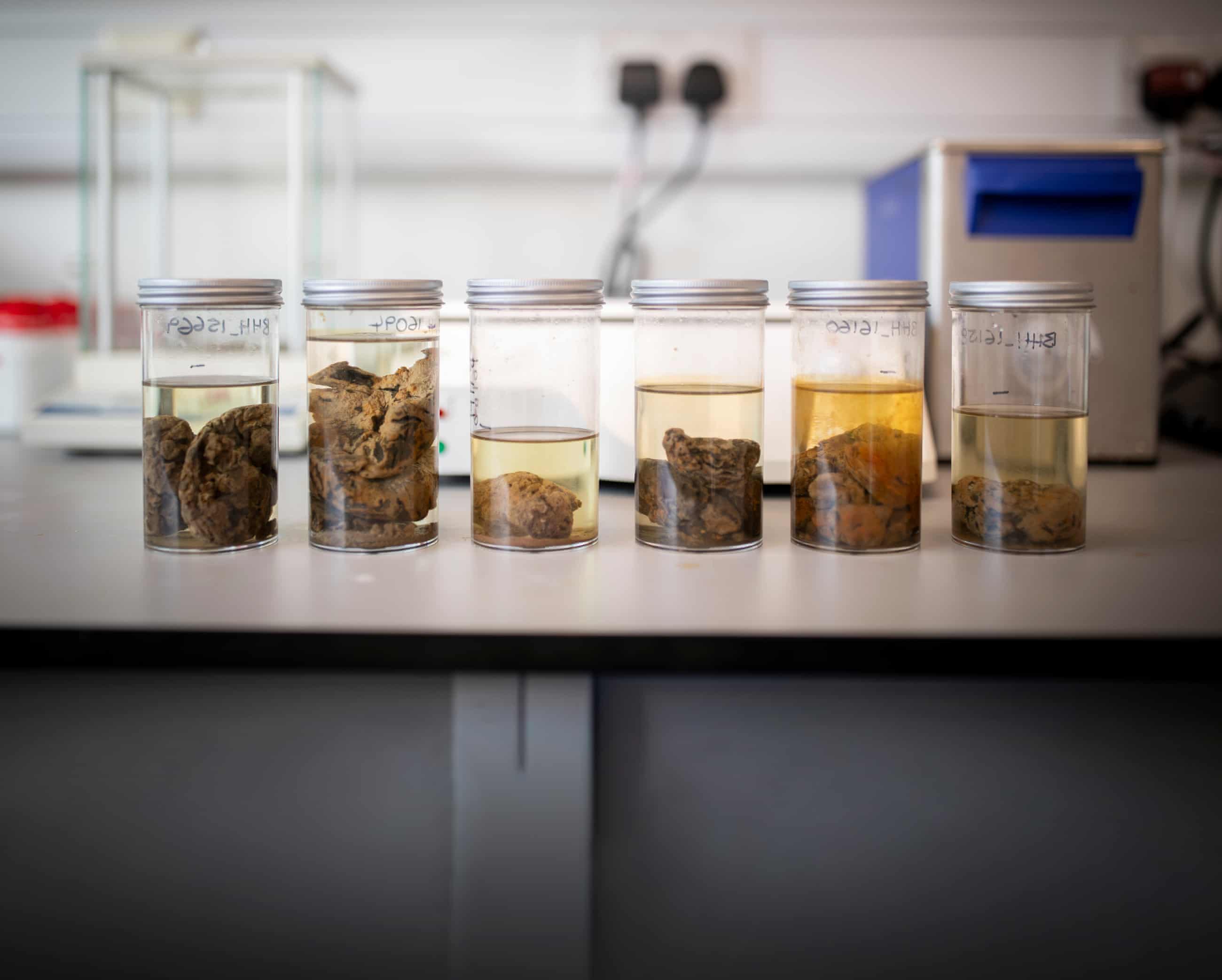 News 28.10.24: Five Essential Articles from Around the Web