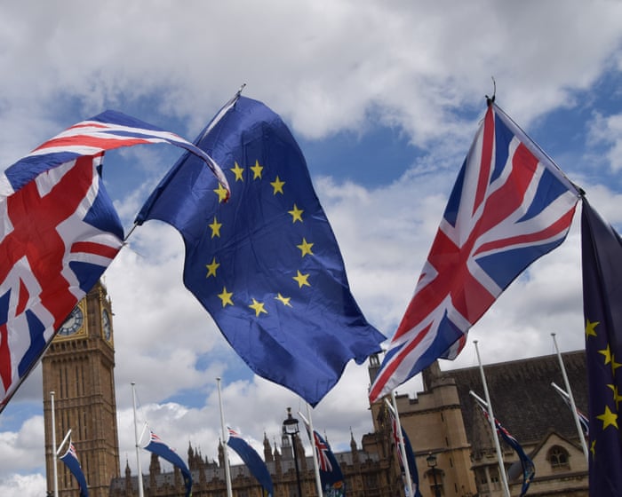 No 10 gathering evidence on public support for rejoining the EU