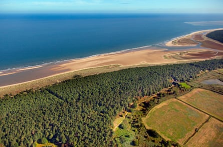 Holkham bay and pinewoods from the air.