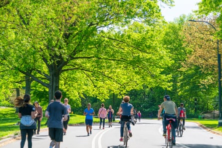 people walking and riding bikes on a tree-lined road