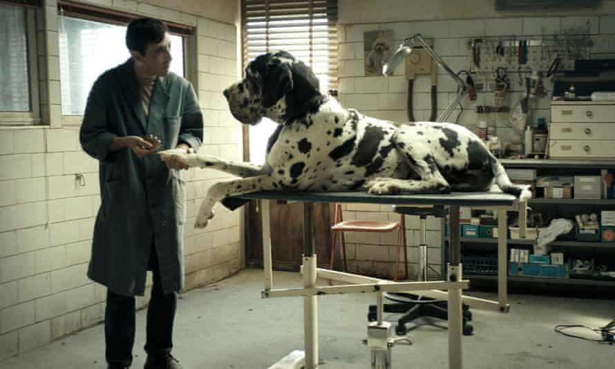 Marcello Fonte in Dogman.