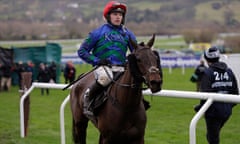 Monbeg Genius after being pulled up at this month’s Cheltenham Festival.