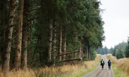 Helen Thomson and her friend Jess Bond walk the track along a pine forest edge