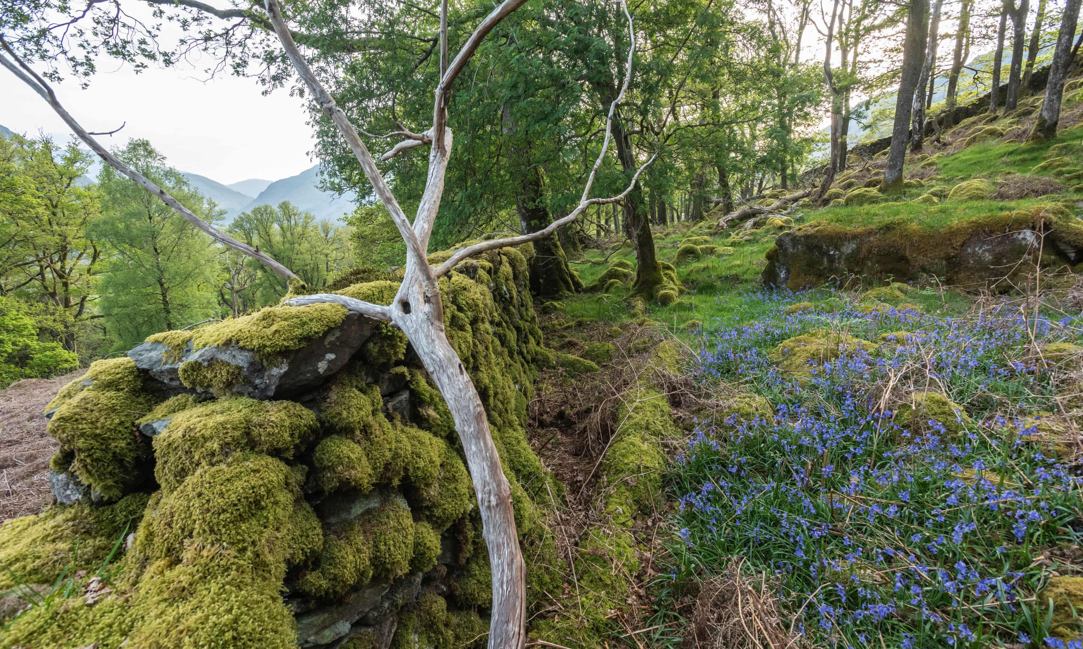 Lake District Valley named national nature reserve
