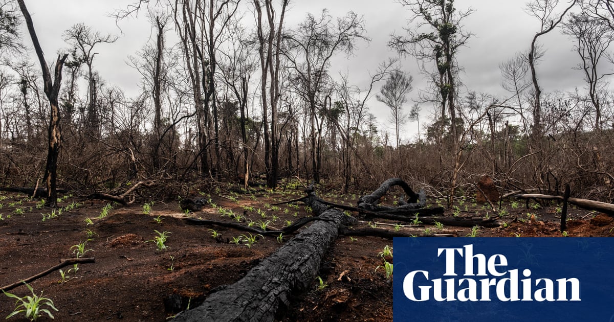 If not fire, we'll be killed by hunger': villagers continue to feel fallout from Bolivia's worst wildfires