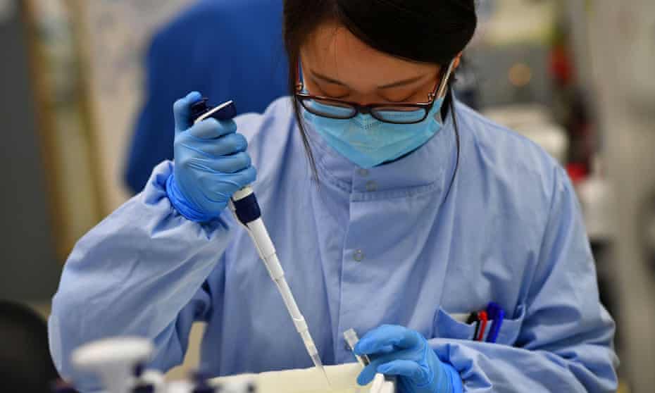 Scientists work at a laboratory where they sequence Covid-19 genomes at the Wellcome Sanger Institute's  campus south of Cambridge
