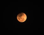 Near Total Lunar Eclipse Visible Across Americas Thursday