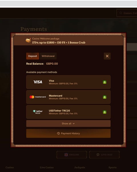 A screenshot showing the option to pay by Visa and Mastercard