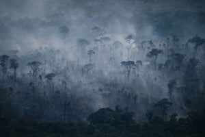 Smoke billows from a fire in the Amazon forest in the municipality of Apui