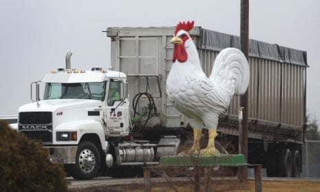 A lorry next to a statue of a chicken.