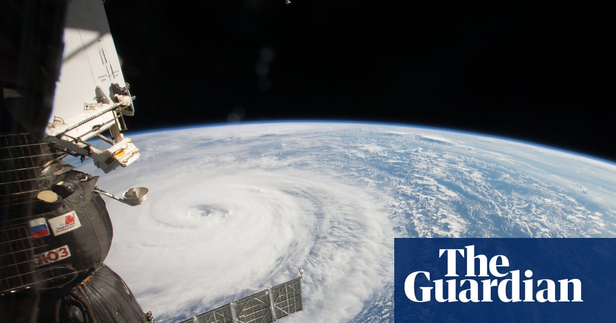 Typhoon Dim-sum: how Hong Kong put a tasty snack on the storm map
