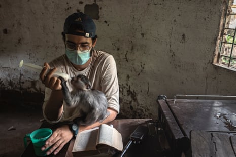 A man wearing a face mask feeds a small monkey milk from a large syringe. A book lies open in front of him