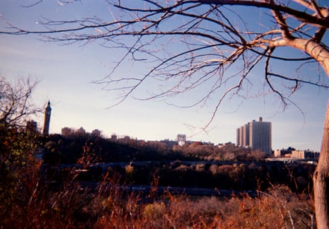 An image of a landscape with grass and a building in the background.