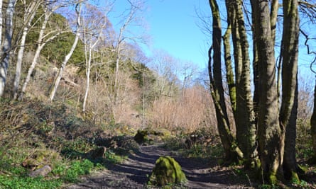 The Greensand escarpment near Rooks Hill.