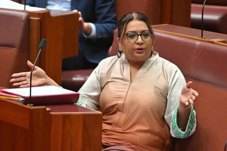 Mehreen Faruqi