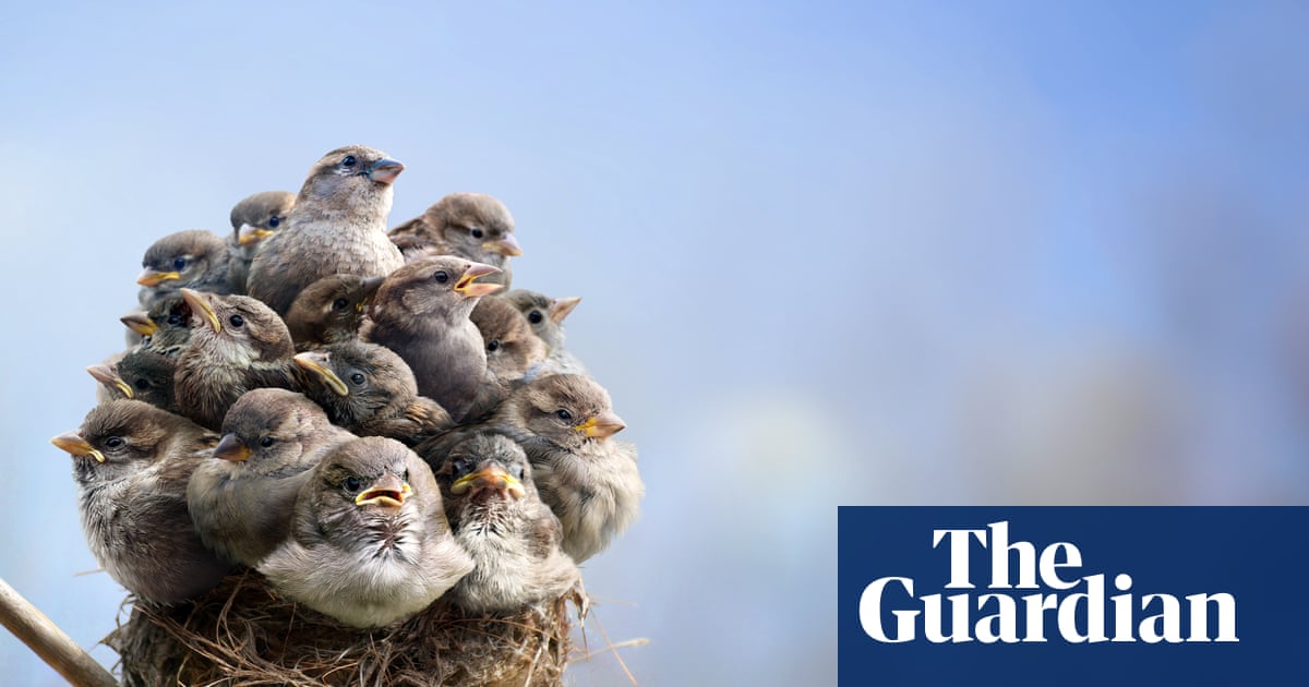 Crowded nest? How parents and their adult kids can live together in peace