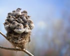 Crowded nest? How parents and their adult kids can live together in peace