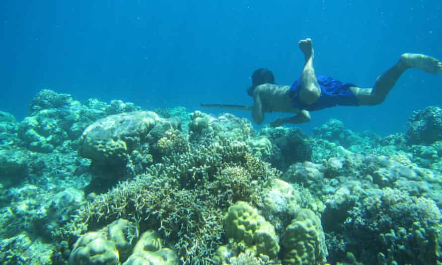 A Bajau diver hunting fish on the reef.