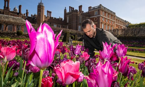 Cost of visit to Hampton Court gardens goes from free to as much