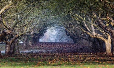 Coton Orchard, Cambridgeshire.