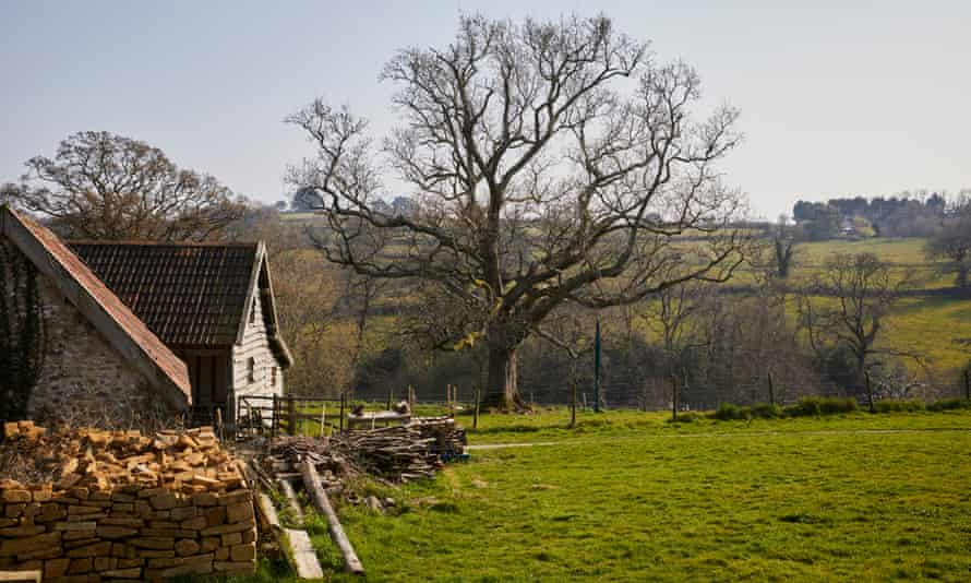 The commune at Monkton Wyld works says, Simon Fairlie. The house hosts ‘endless yoga retreats… We’ve had a couple of orgies, even.’