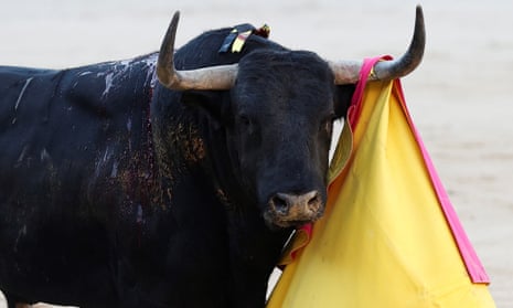 Bull reportedly rammed to death by car after ring escape in Spain | Spain |  The Guardian