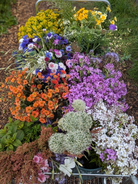 Sitopia Farm flowers.