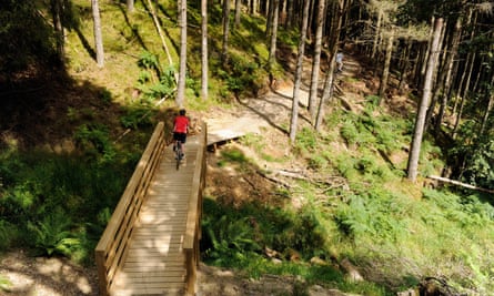 Cyclists on bridge on the Quercus mountain bike trail Whinlatter Forest