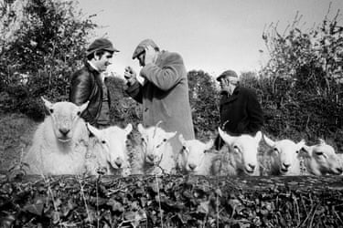 Manorhamilton Sheep Fair, County Leitrim, Ireland, 1981From ‘A Fair Day’. 1981.