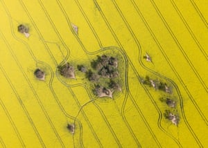 Canola fields in full bloom near Harden, NSW, after drought-breaking rains bring on a bumper harvest.