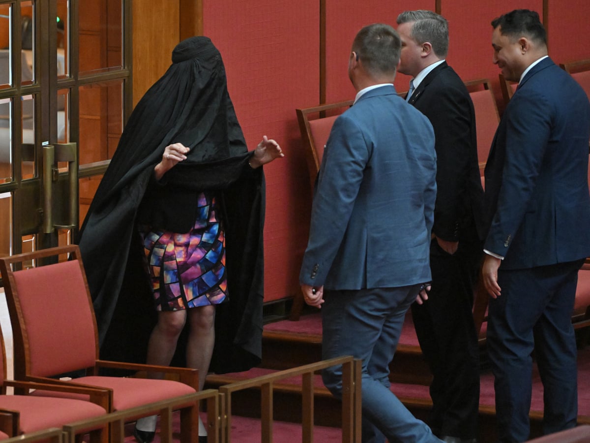 Senate resumes after Hanson suspended from parliament – as it happened | Australia news | The Guardian