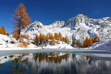 Orange-leafed larch trees next to a lake in front of snowy mountains