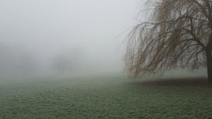 London in the wintry fog“Walking through Ruskin Park, Denmark Hill, on Monday morning the trees were barely visible ghosts seen through the misty white.”