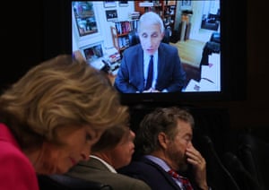 Senators listen to Dr Anthony Fauci’s testimony on how to safely open the country and get America back to work and school on Tuesday.