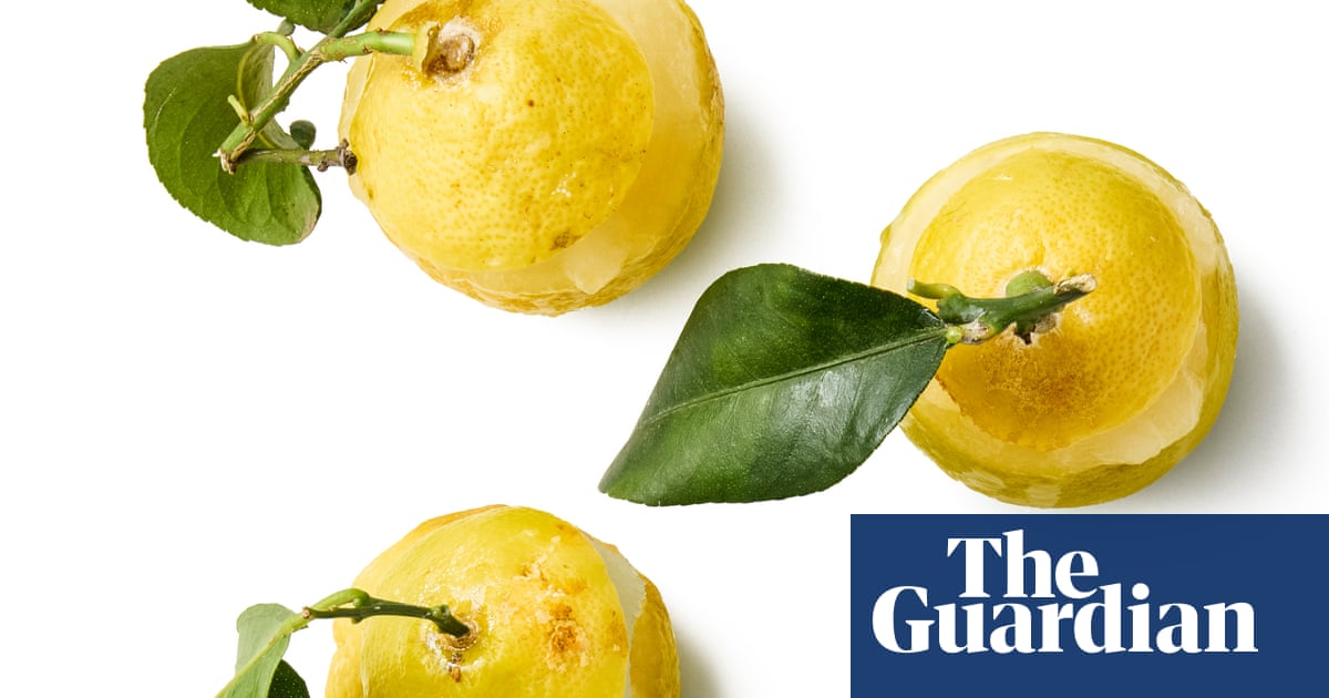 How to make lemon sorbet – recipe