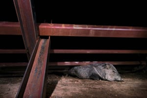 Fritz Pölking prize : Welcome to Mexico. A project about the ecosystem along the US - Mexico border