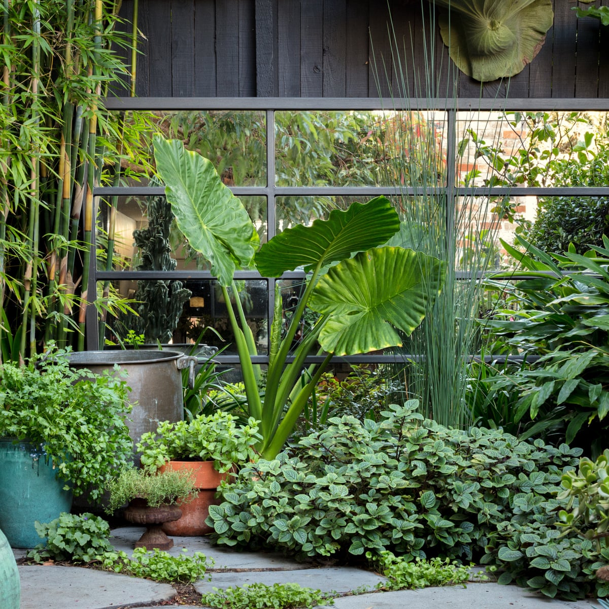 The 20 Best Garden Instagram Accounts Life And Style The Guardian