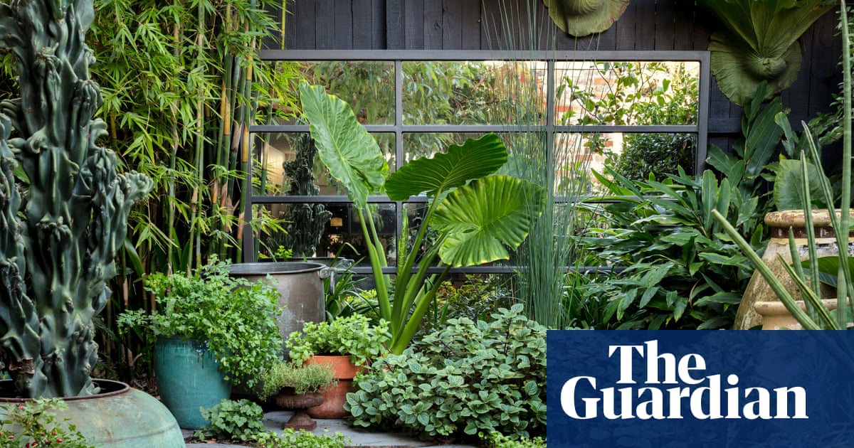 The 20 Best Garden Instagram Accounts Life And Style The Guardian