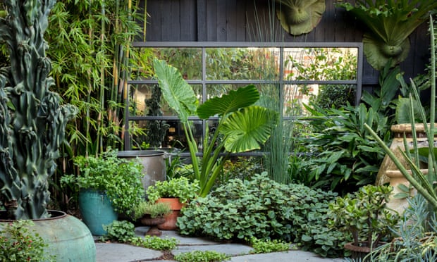 The 20 Best Garden Instagram Accounts, Landscaping Ideas For Small Backyards With Dogs In India