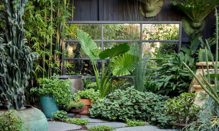 The 20 Best Garden Instagram Accounts Life And Style The Guardian