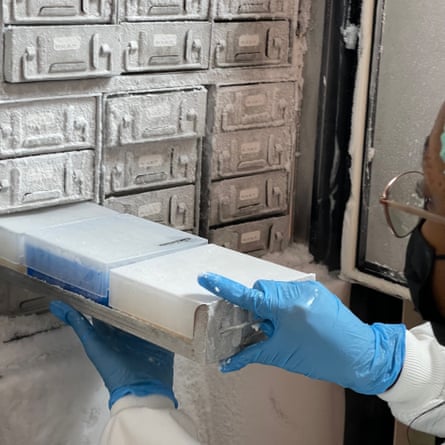 A person in a mask and white coat holding the drawer of a freezer