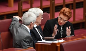 Pauline Hanson in parliament