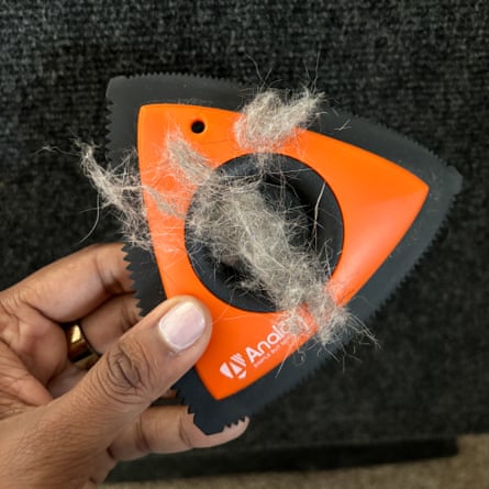 An Analon Pet Hair Remover after removing cat hair